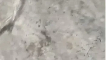 أمطار سوداء اللون تهطل على طهران