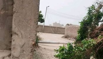 اتقلعت من جذورها