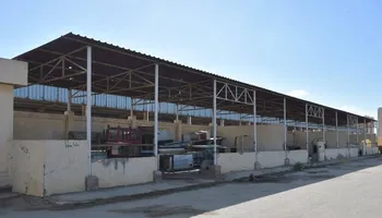 بيطري ببورسعيد يعلن بدء التشغيل التجريبي لشلتر إيواء الكلاب الضالة بمنطقة القابوطي الجديد الأسبوع القادم 