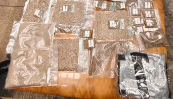 الماريجوانا