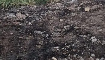 انقلاب ميكروباص ببنى سويف 