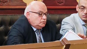 تأجيل محاكمة المتهمة بقتل "عروس بورسعيد" إلى اليوم الثاني بدور انعقاد أبريل