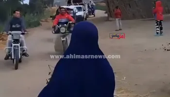 جاموسة البحيرة