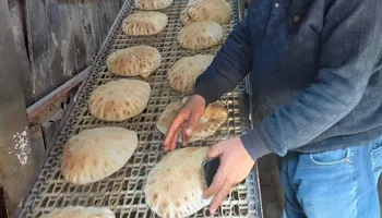 جانب من الحملات 