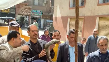 جانب من الحملة