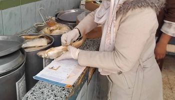 جانب من الحملة