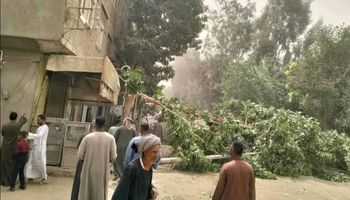 سقوط شجرة وعمود اناره