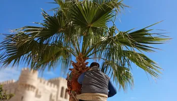 قلعة قايتباي