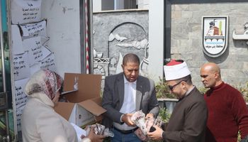 لحوم صكوك الأوقاف ببنى سويف 