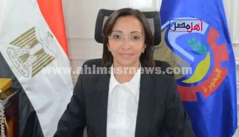 محافظ البحيرة