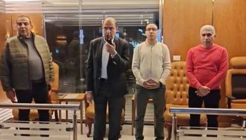 محافظ المنيا 