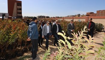 محافظ كفرالشيخ يدشن حملة لزراعة 50 ألف شجرة مثمرة بقرى مركز الرياض
