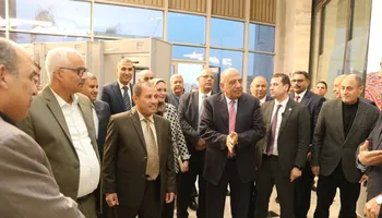 وزير الكهرباء 