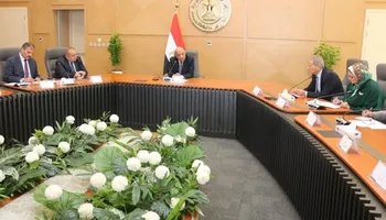 وزير الكهرباء والطاقة