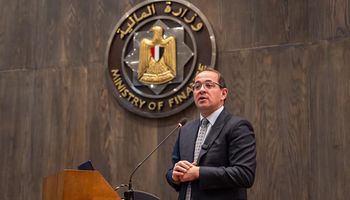 وزير المالية