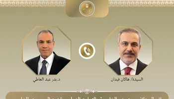 وزيرا خارجية مصر وتركيا