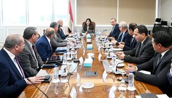 وزيرة الاسكان