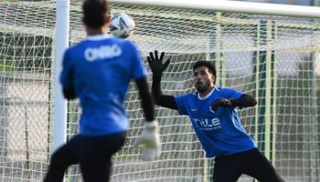 المهدي سليمان 