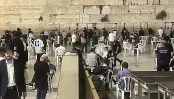 جانب من الفعاليات 