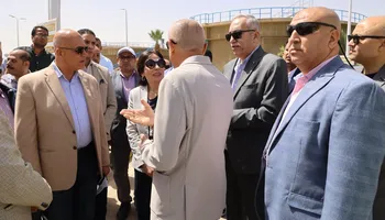 وزيرة الاسكان 