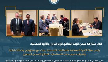 الثروة المعدنية والصناعات التعدينية