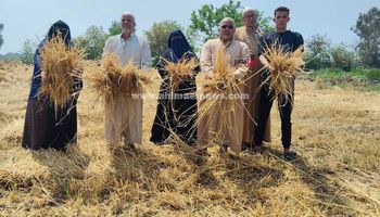 مزارعين الشرقيه