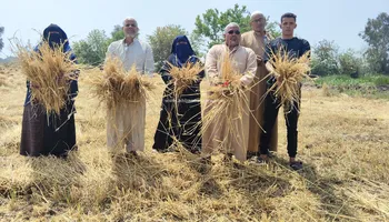 أصحاب الأرض 