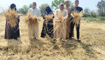 أصحاب الأرض 