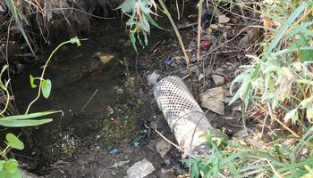 استغاثه مزارعي عزبة الورواري بالإسماعيلية 