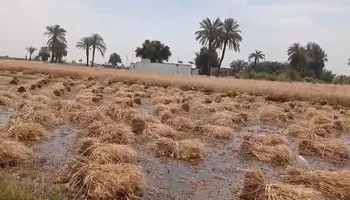 الاراضي الزراعيه 