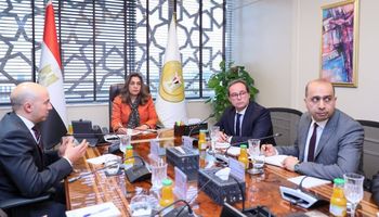 التنمية المحلية