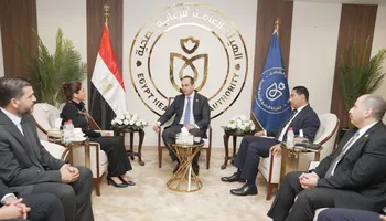 الدكتور احمد السبكى