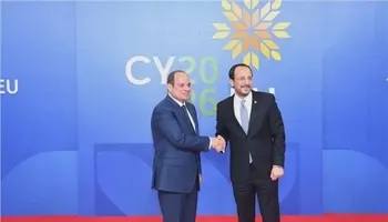 الرئيس السيسي 