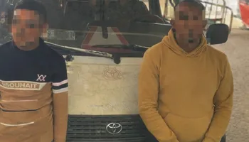 السائق والتباع