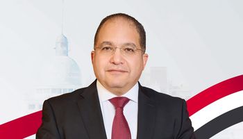  النائب عادل اللمعي