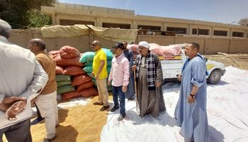 توريد القمح 