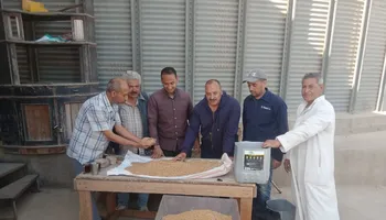 توريد القمح 