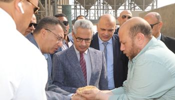 توريد القمح ببنى سويف 