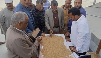 جانب من التوريد