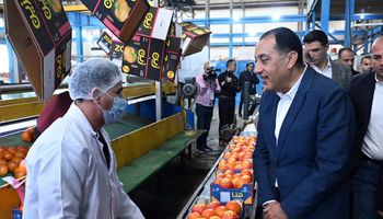 جانب من الجولة