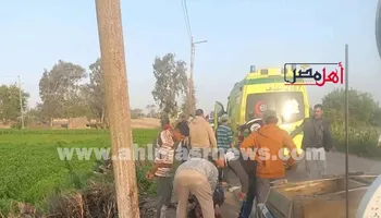 جانب من الحادث 