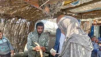 جانب من الحملات 