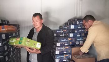 جانب من الحملات 