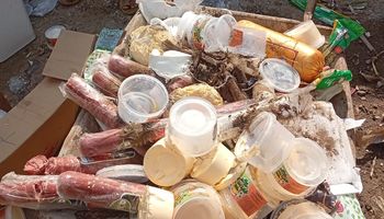 جانب من الحملة 