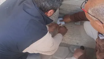 جانب من الحملة