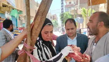 جانب من الحملة