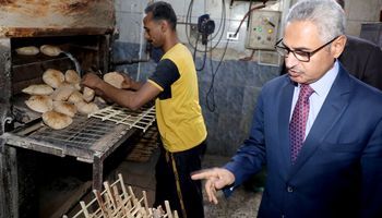 جانب من الزيارة 