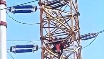 جانب من الواقعة 