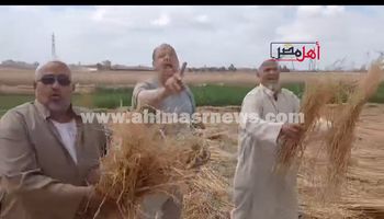 جانب من الواقعة 