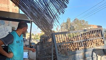 جانب من الواقعة 